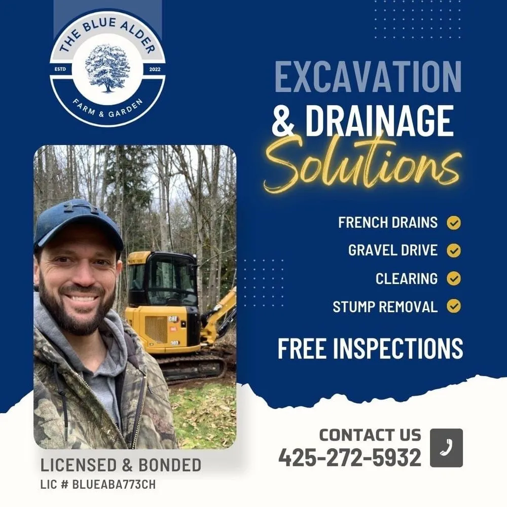 Reliable lawn mowing service with custom design across Maple Valley, WA - The Blue Alder