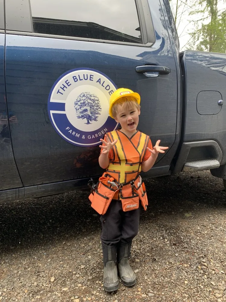 Reliable landscaping services in Maple Valley, WA by The Blue Alder