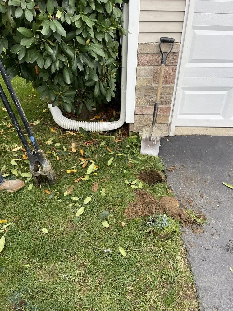 Reliable yard cleanup service in Freehold, NJ by The Blue Sky One