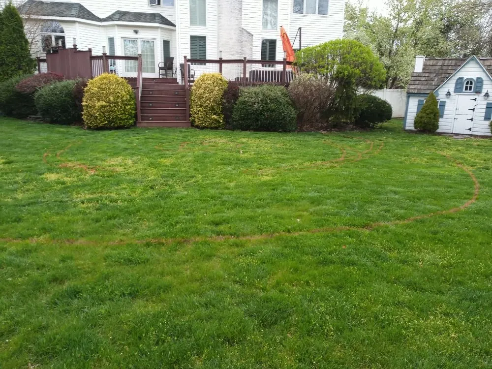 Trusted yard maintenance experts serving Freehold, NJ - The Blue Sky One