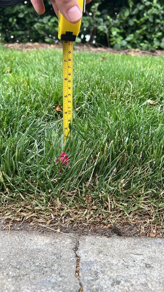 Top-rated lawn mowing service experts serving New York, NY - The Blue Sprayer