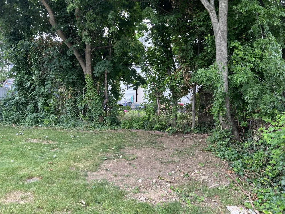 Expert outdoor landscaping experts serving New York, NY - The Blue Sprayer