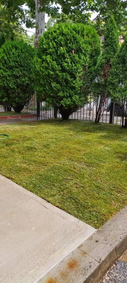 Local landscape design near you across New York, NY - The Blue Sprayer