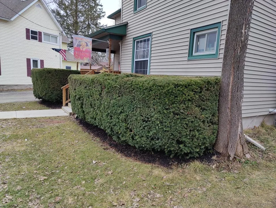 Professional garden landscaping for year-round maintenance across New York, NY - The Blue Sprayer