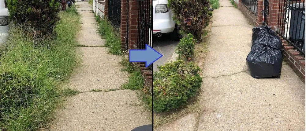 Professional landscape installation experts serving New York, NY - The Blue Sprayer