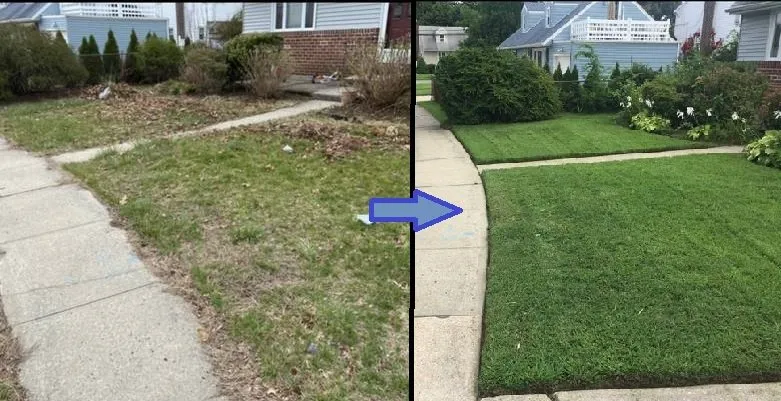 Reliable outdoor landscaping for beautiful yards across New York, NY - The Blue Sprayer