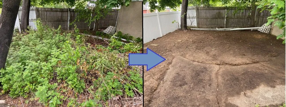 Reliable lawn care service in New York, NY - The Blue Sprayer