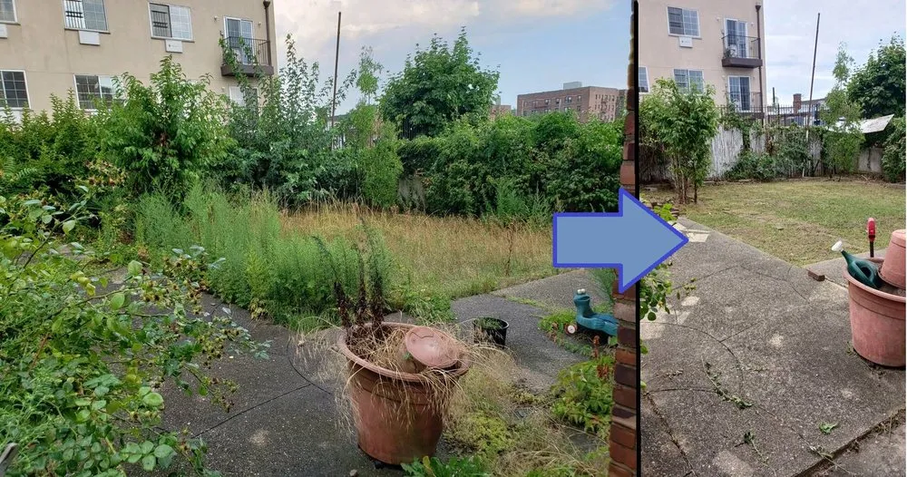 Top-rated yard maintenance experts serving New York, NY - The Blue Sprayer