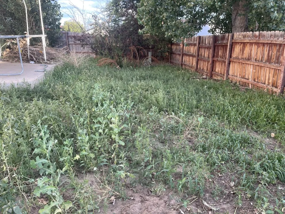Professional yard cleanup service in Colorado Springs, CO - The BOOM Bros Lawn & Garden