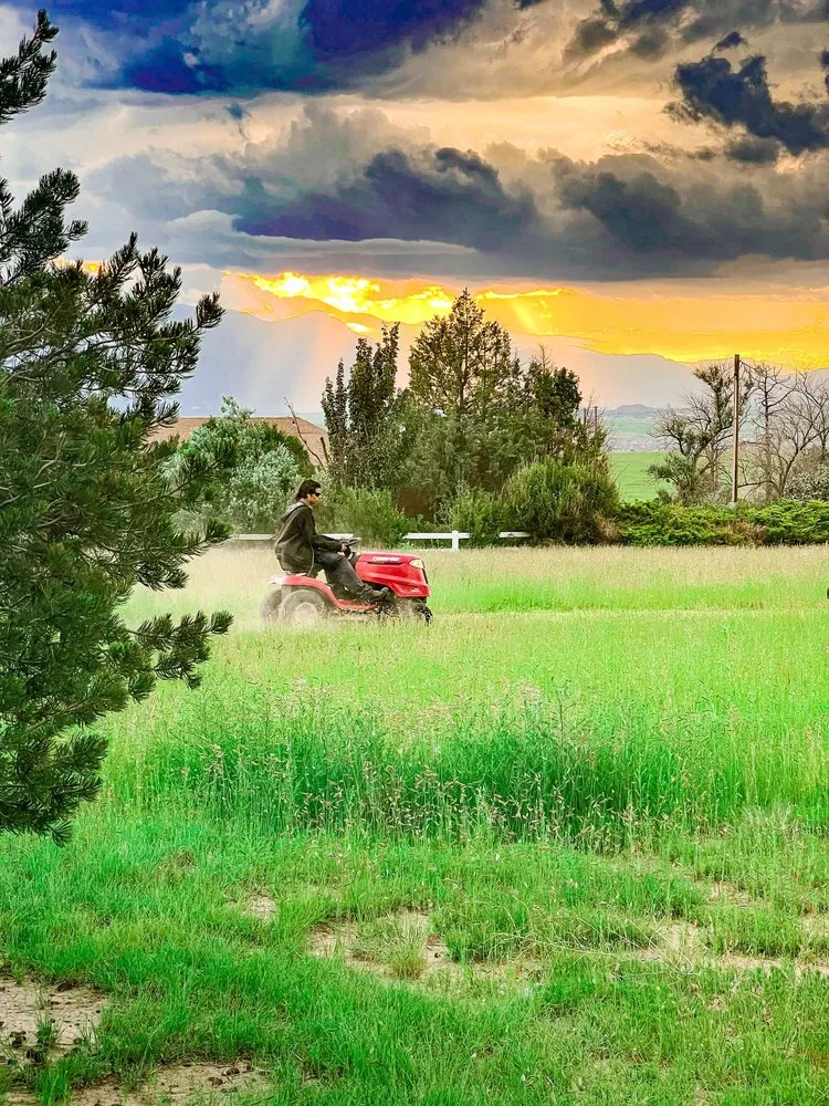 Professional residential landscaping for outdoor upgrades in Colorado Springs, CO by The BOOM Bros Lawn & Garden