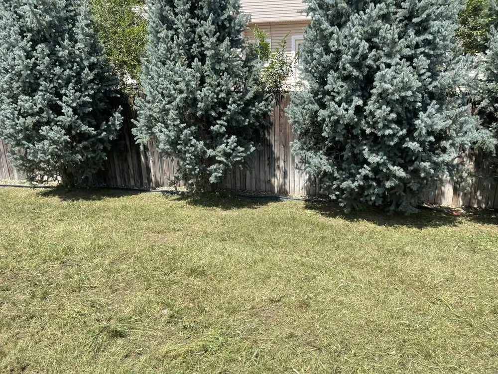 Professional yard maintenance experts serving Colorado Springs, CO - The BOOM Bros Lawn & Garden