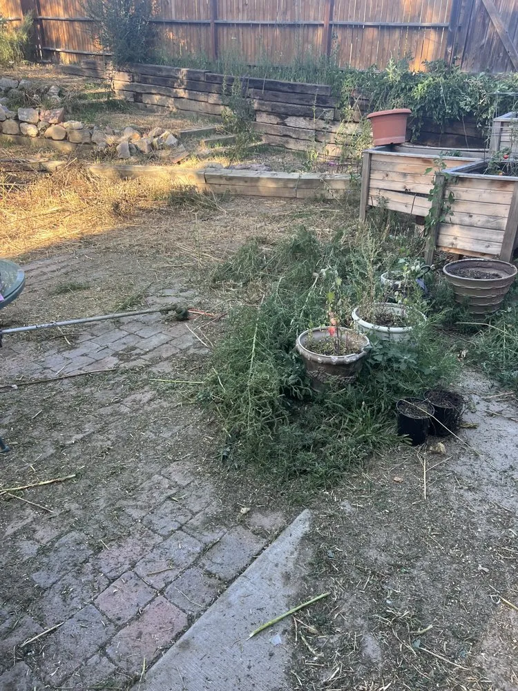 Trusted landscape installation for beautiful yards in Colorado Springs, CO by The BOOM Bros Lawn & Garden