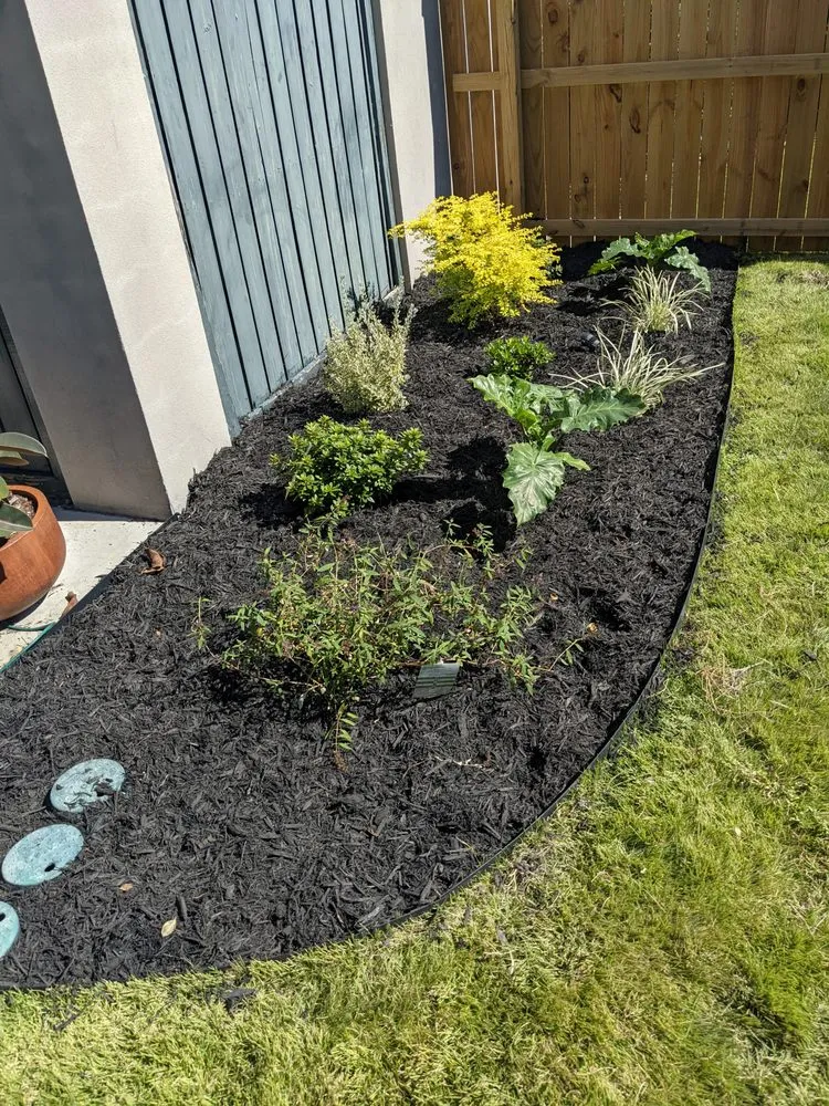 Affordable yard cleanup service for homes across North Charleston, SC - The Botanical Brothers