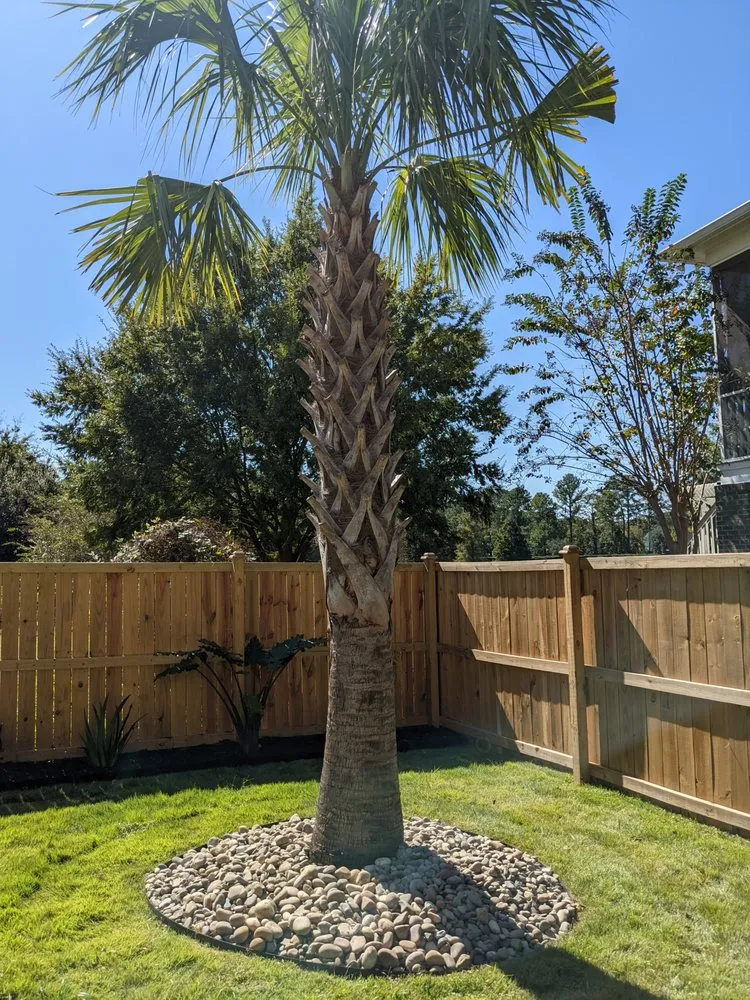 Top-rated yard cleanup service in North Charleston, SC by The Botanical Brothers