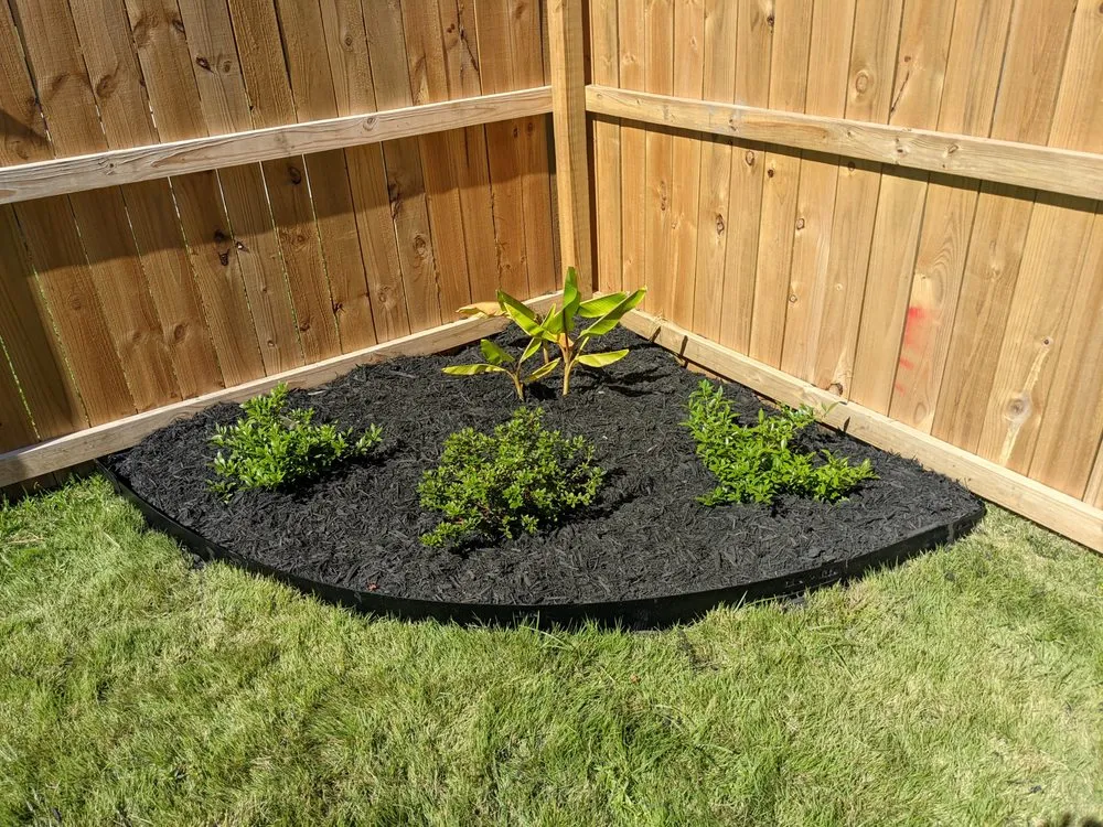 Professional landscape design for outdoor upgrades across North Charleston, SC - The Botanical Brothers