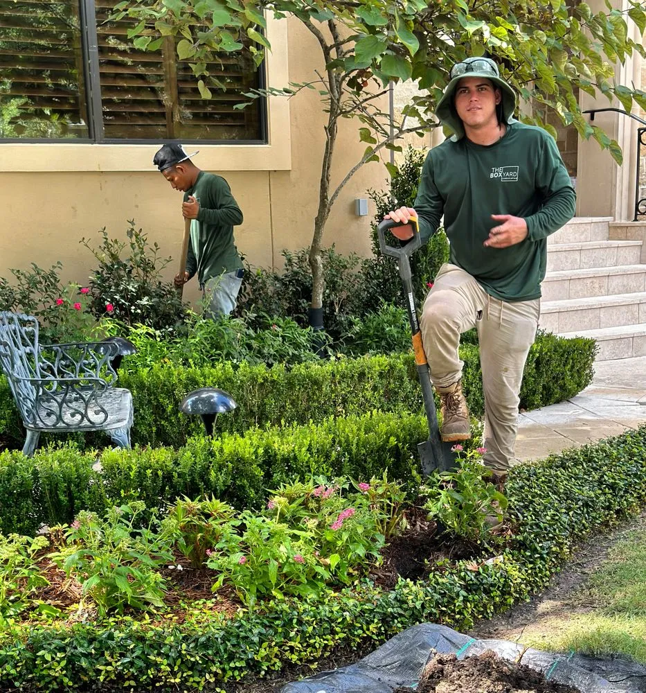 Local residential landscaping for year-round maintenance in Houston, TX by The Box Yard Landscaping
