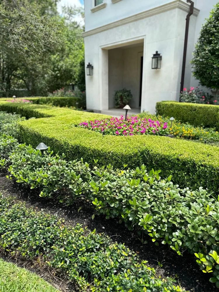 Affordable residential landscaping for homes in Houston, TX by The Box Yard Landscaping