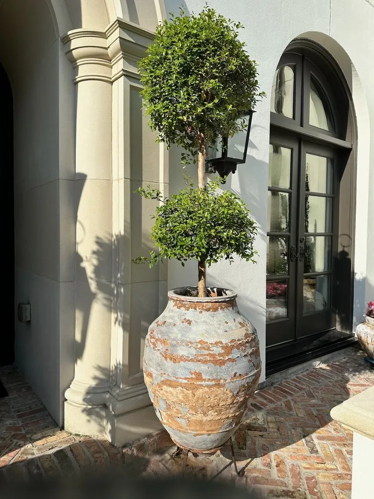 Top-rated yard cleanup service for residential properties across Houston, TX - The Box Yard Landscaping