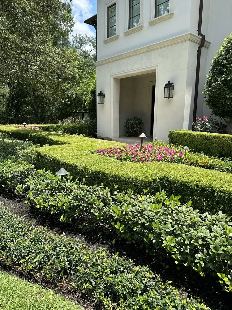 Professional lawn care service for homes in Houston, TX by The Box Yard Landscaping