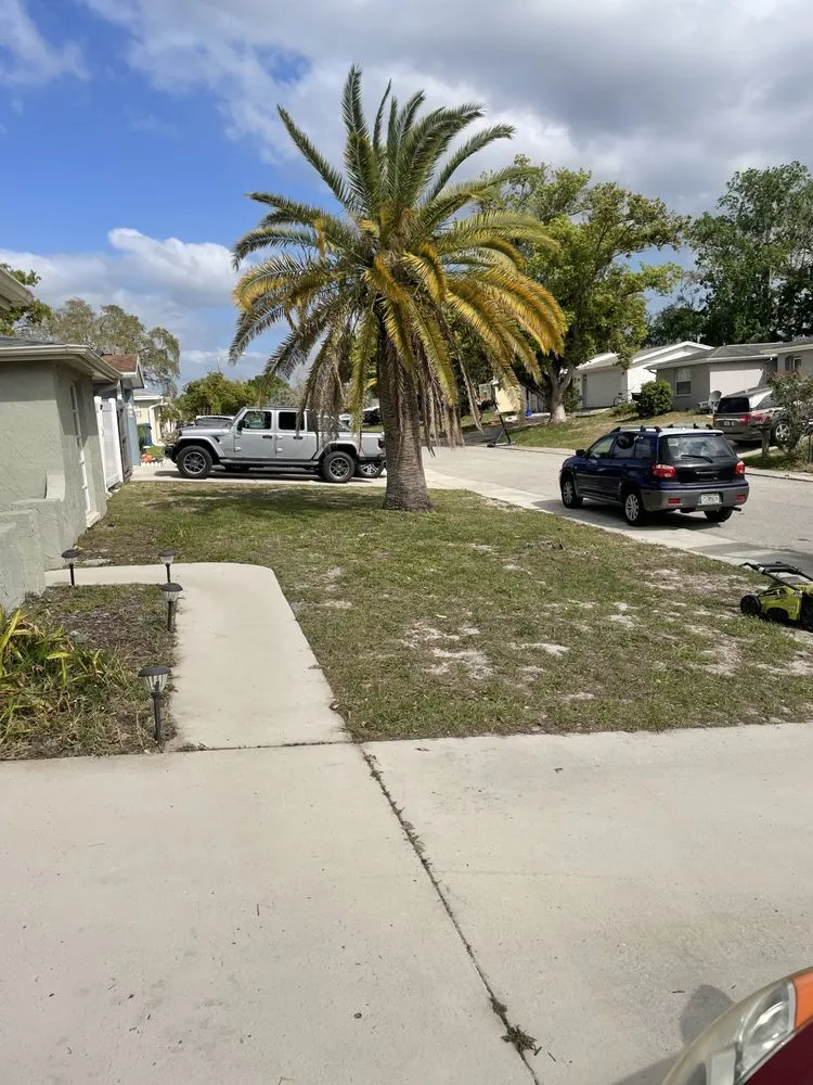 Custom yard maintenance in Holiday, FL by The Boys Lawn Maintenance