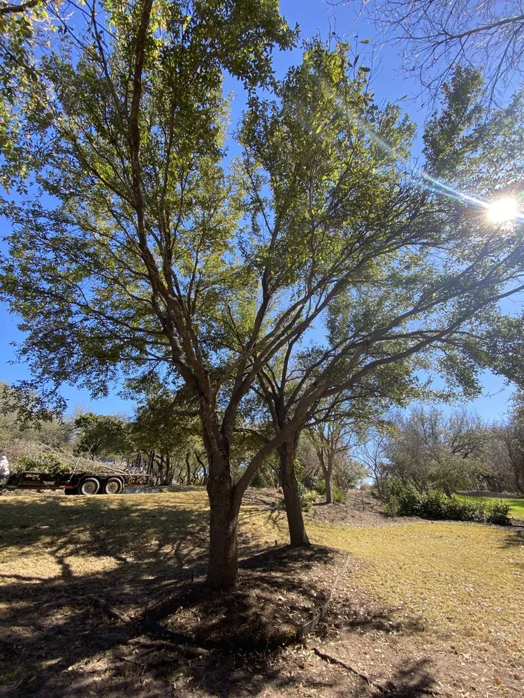 Professional yard maintenance in Round Rock, TX - The Boys