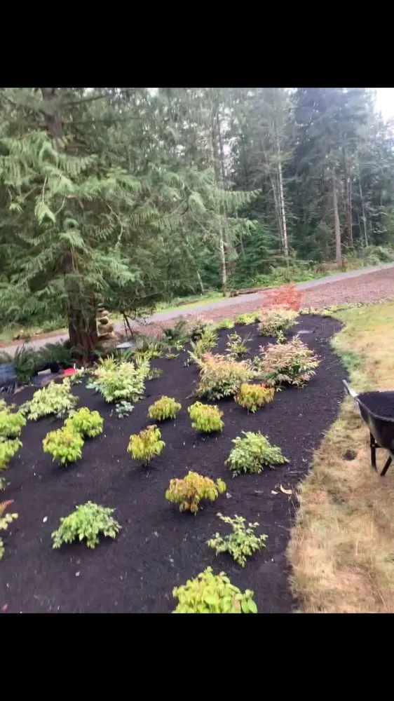 Professional outdoor landscaping experts serving Sultan, WA - The Boyz Landscaping