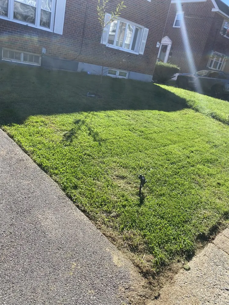Expert yard cleanup service with custom design in Holmes, PA by The Bro Pros Property Maintenance