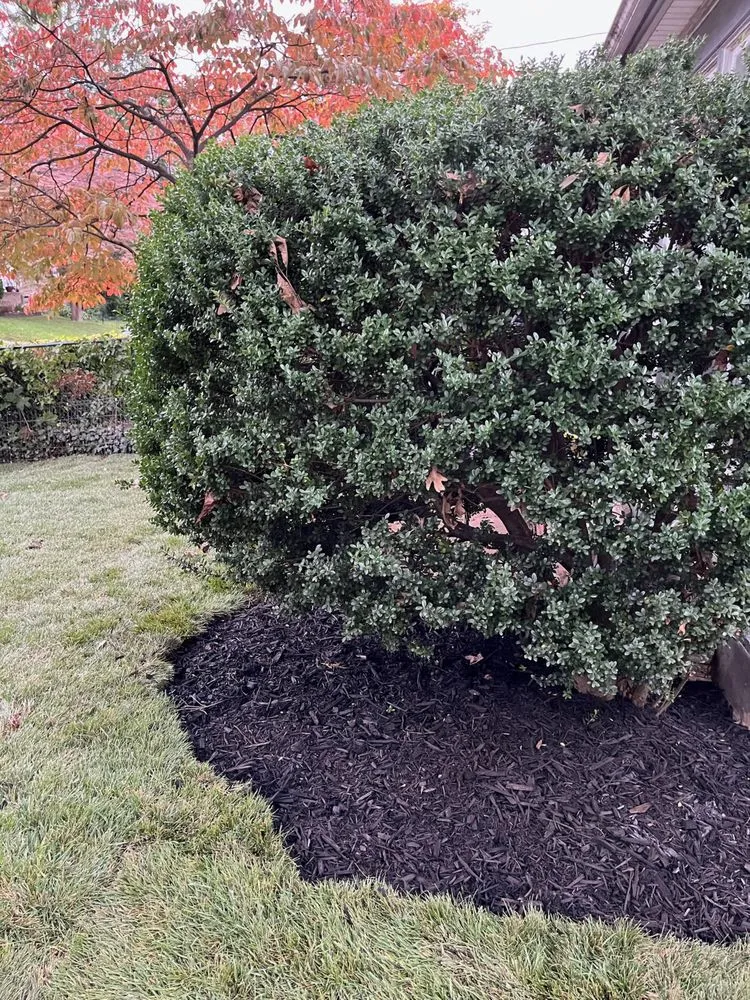 Custom lawn mowing service for homes across Holmes, PA - The Bro Pros Property Maintenance