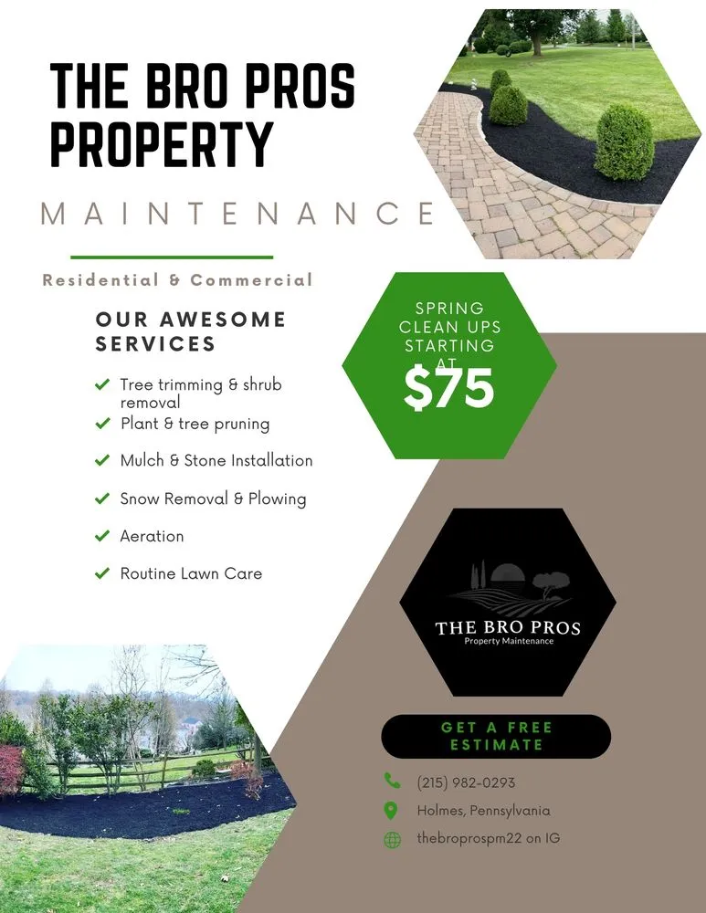 Professional lawn care service for outdoor upgrades in Holmes, PA by The Bro Pros Property Maintenance