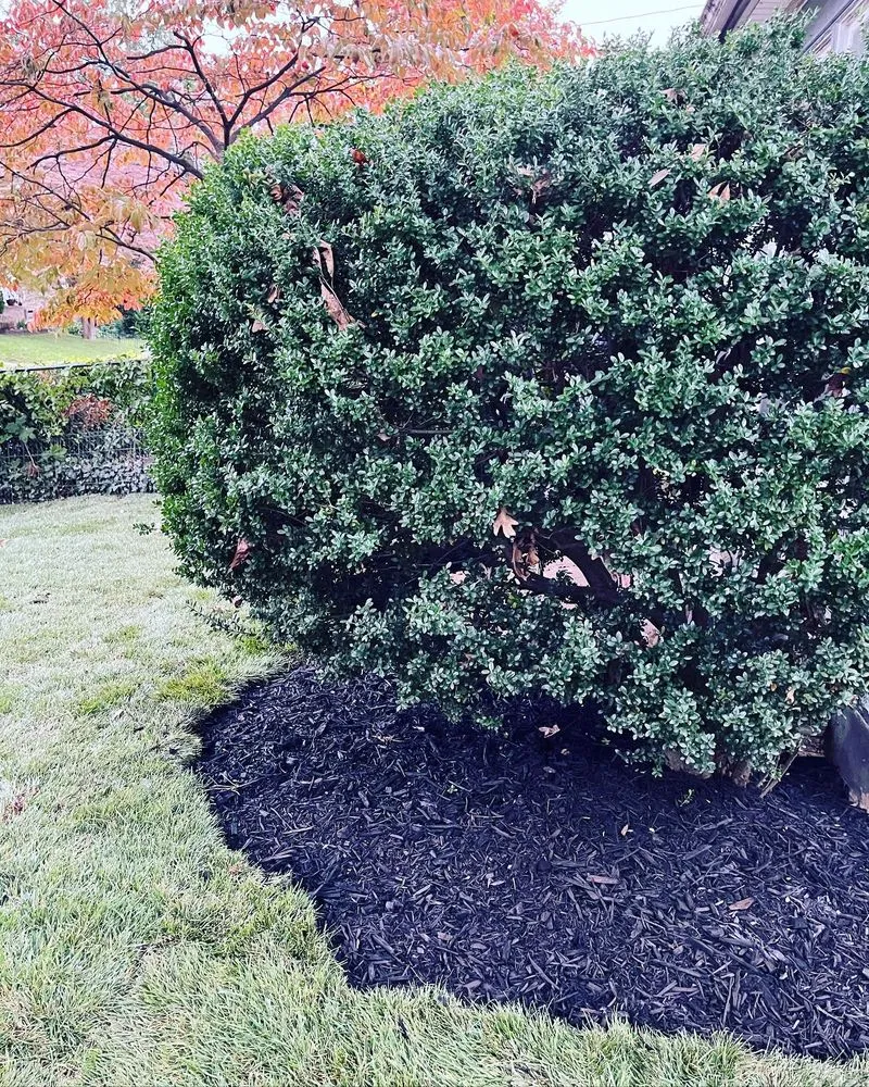 Top-rated lawn mowing service experts serving Holmes, PA - The Bro Pros Property Maintenance