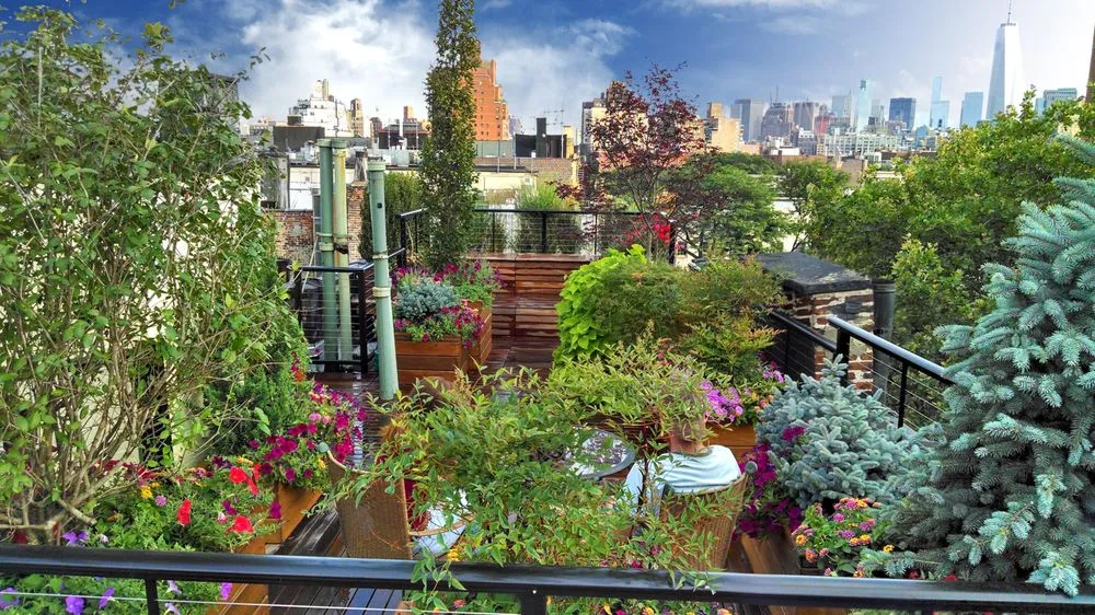 Affordable yard cleanup service for year-round maintenance in Clinton Corners, NY by The Brooklyn Garden Club