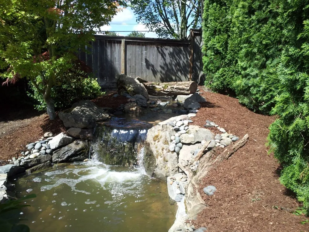 Expert yard cleanup service experts serving Vancouver, WA - The Brother's Allscapes