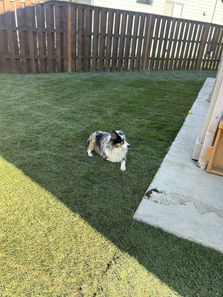 Top-rated landscape installation experts serving Vancouver, WA - The Brother's Allscapes