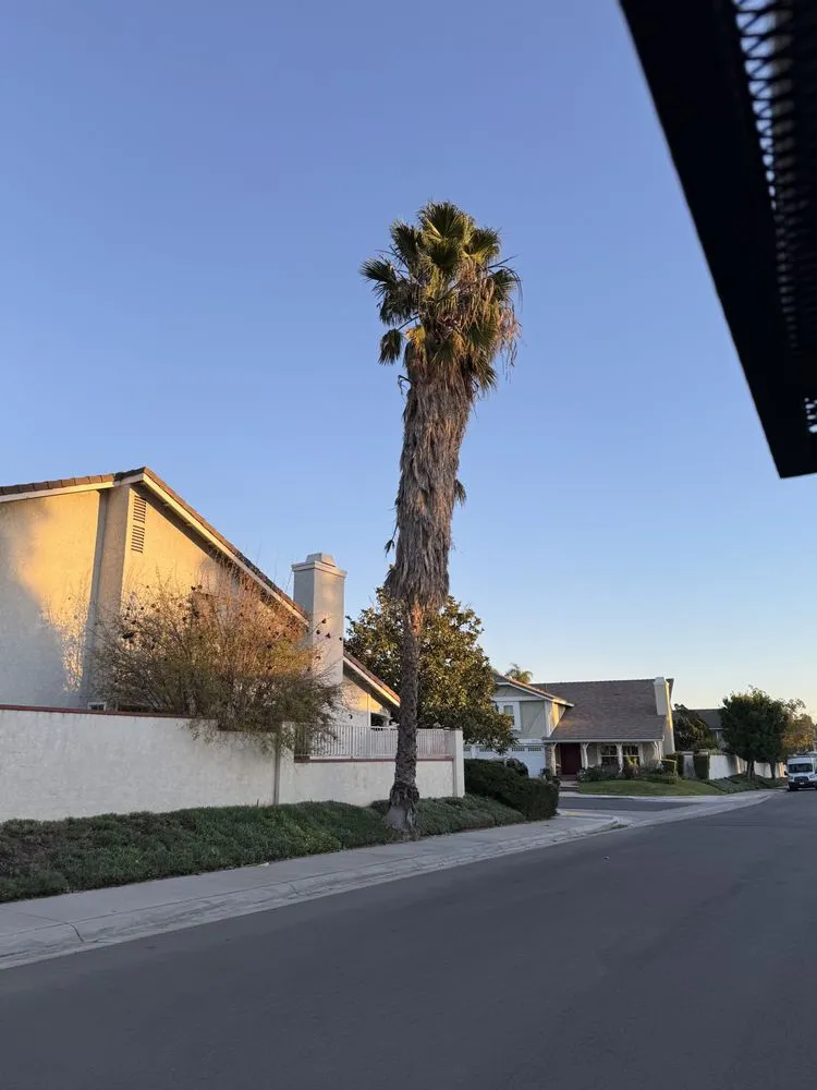 Expert landscape design experts serving Buena Park, CA - The Brothers Gomez Landscaping