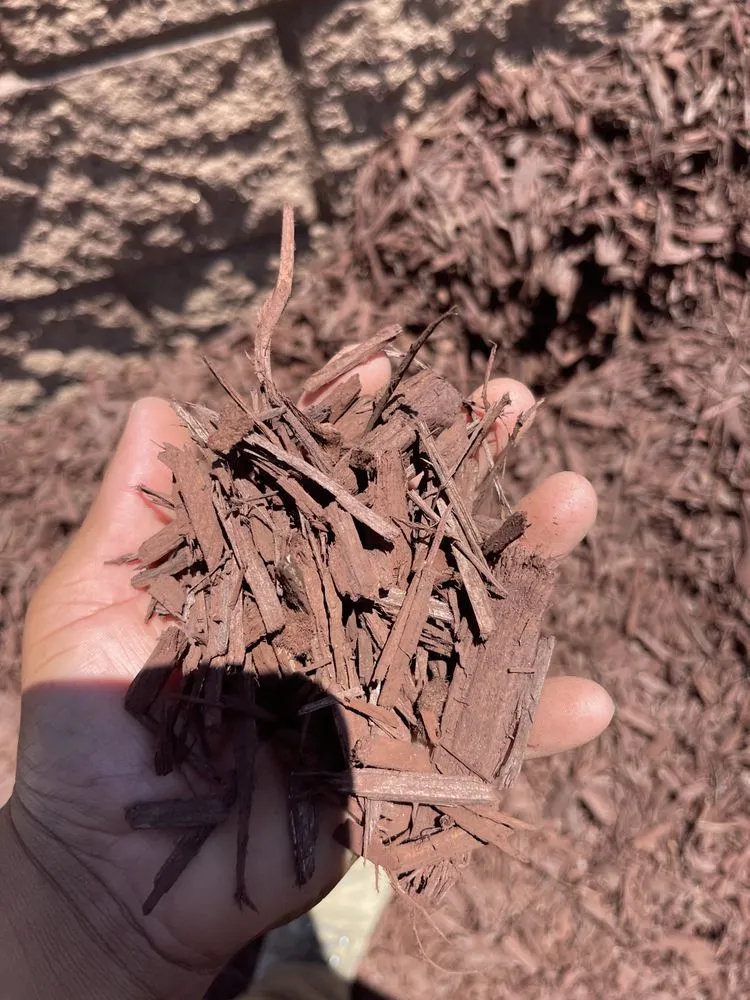 Custom landscape design in Buena Park, CA - The Brothers Gomez Landscaping