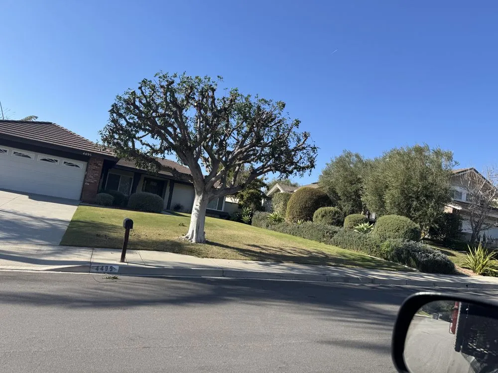 Trusted residential landscaping experts serving Buena Park, CA - The Brothers Gomez Landscaping