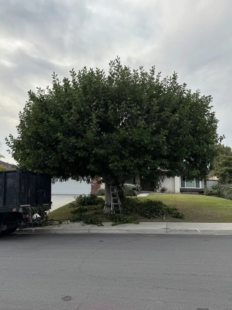 Local yard maintenance in Buena Park, CA - The Brothers Gomez Landscaping