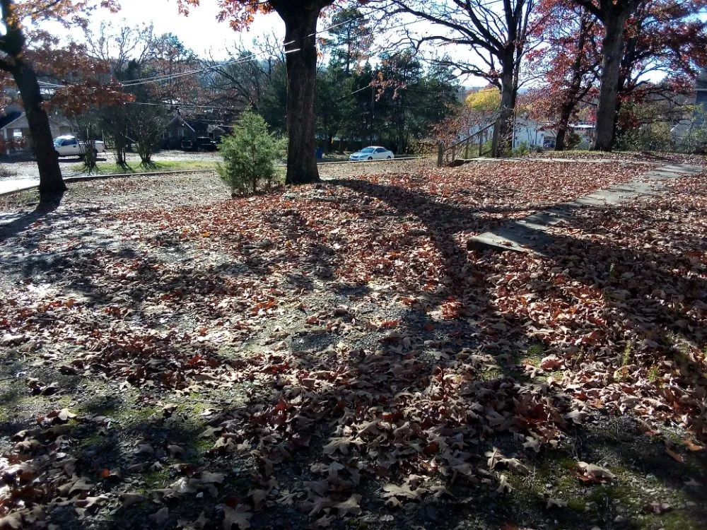 Affordable yard maintenance experts serving North Little Rock, AR - The Brothers Land & Lawn