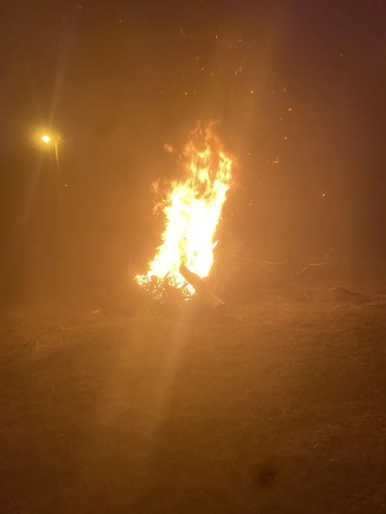 Affordable outdoor landscaping for residential properties across Parsons, TN - The Brothers Landscape