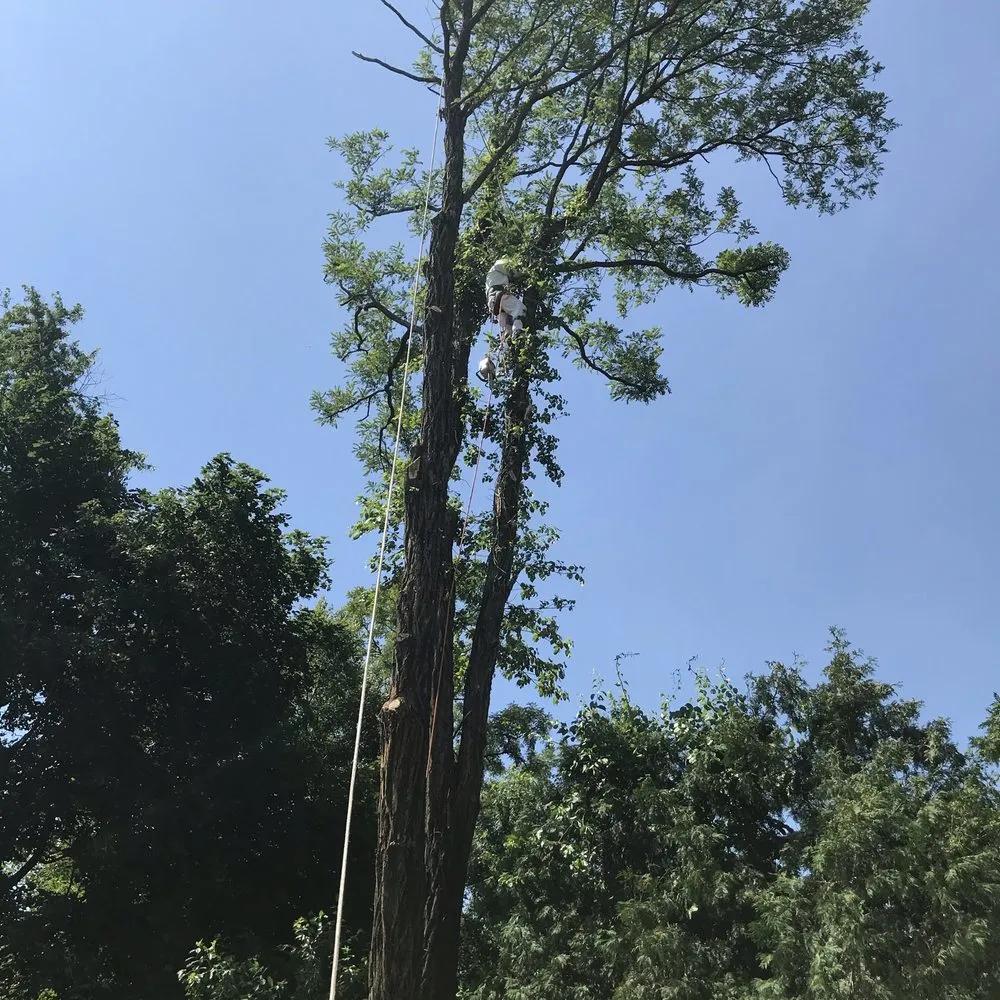 Expert lawn care service in Jackson Township, NJ - The Brothers Landscaping and Tree Service