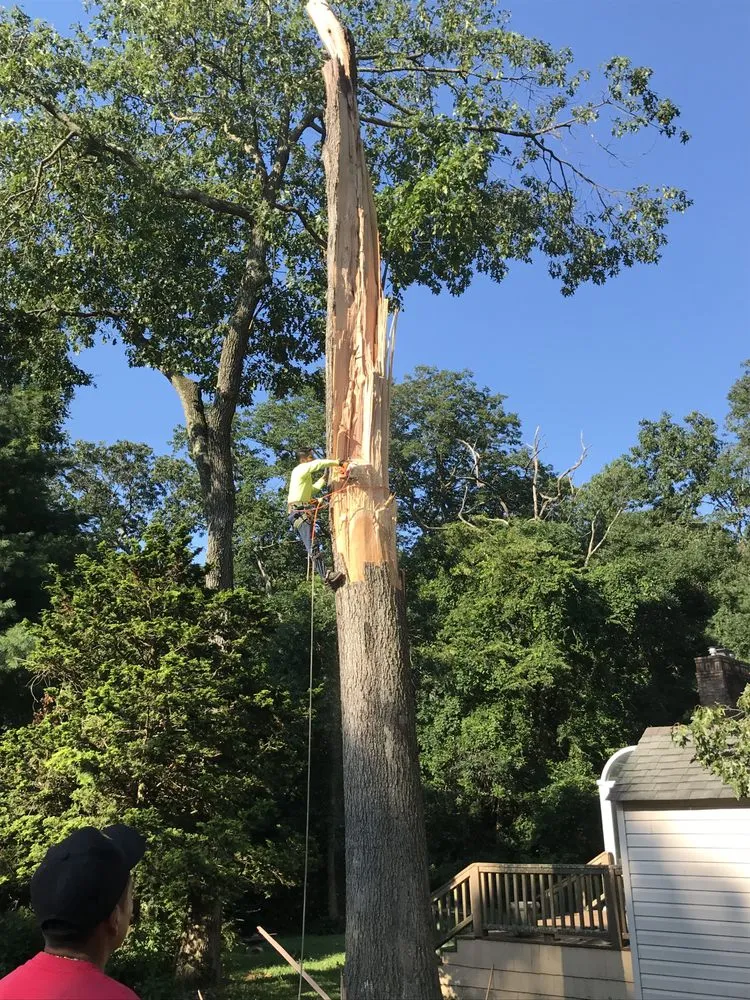 Trusted lawn mowing service in Jackson Township, NJ by The Brothers Landscaping and Tree Service