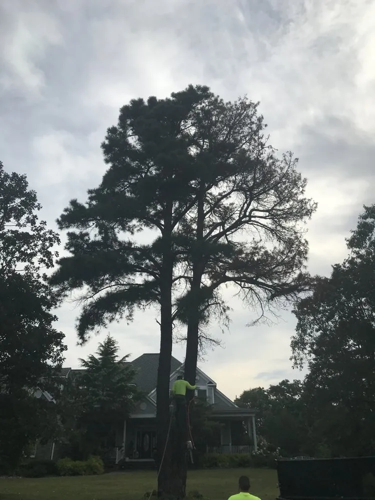 Top-rated outdoor landscaping for homes across Jackson Township, NJ - The Brothers Landscaping and Tree Service