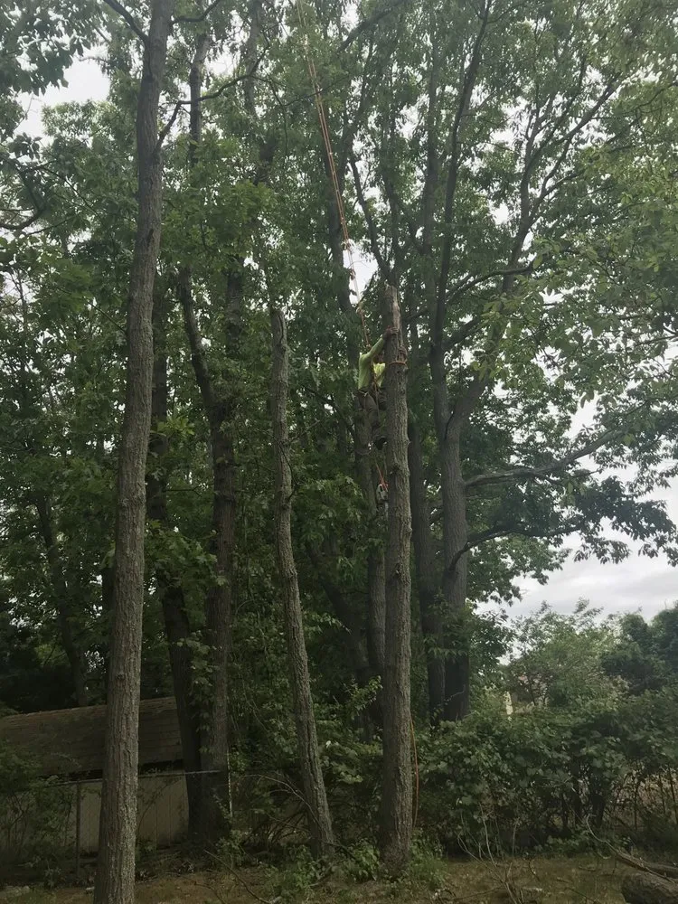 Local yard maintenance in Jackson Township, NJ - The Brothers Landscaping and Tree Service