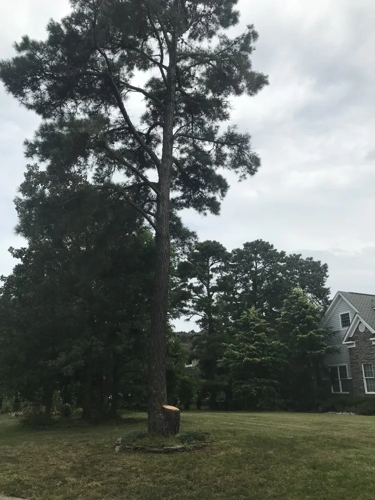 Professional landscaping services in Jackson Township, NJ by The Brothers Landscaping and Tree Service