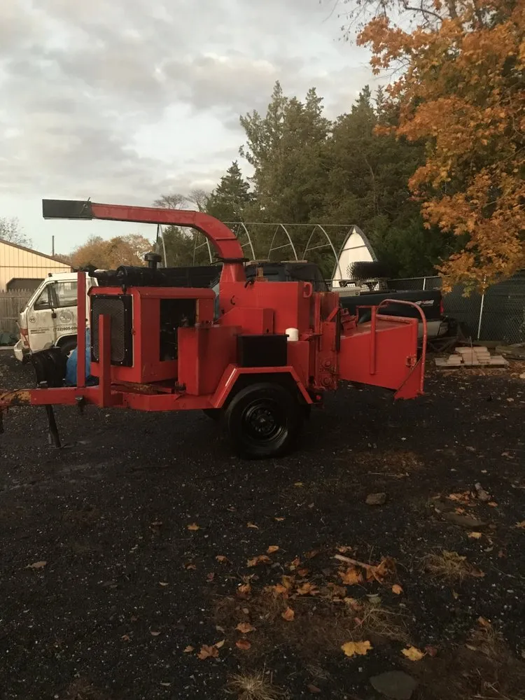 Expert yard cleanup service for residential properties across Jackson Township, NJ - The Brothers Landscaping and Tree Service