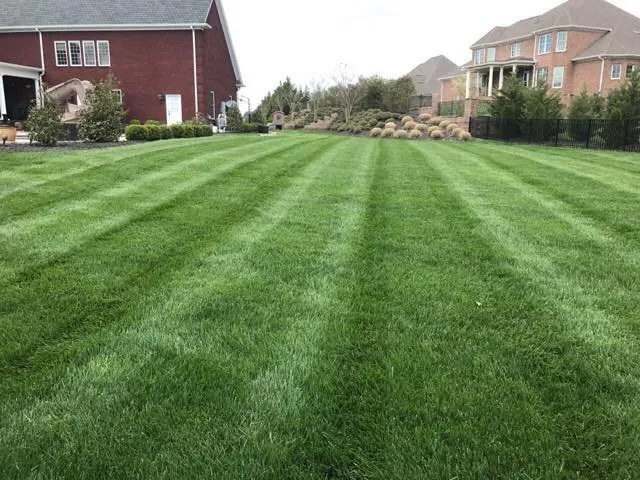 Affordable landscaping services in Paducah, KY - The Brothers Lawn Care