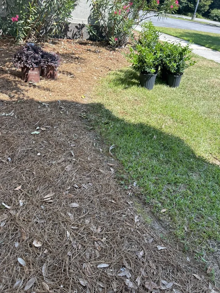 Expert lawn care service experts serving Glennville, GA - The Brothers Lawncare