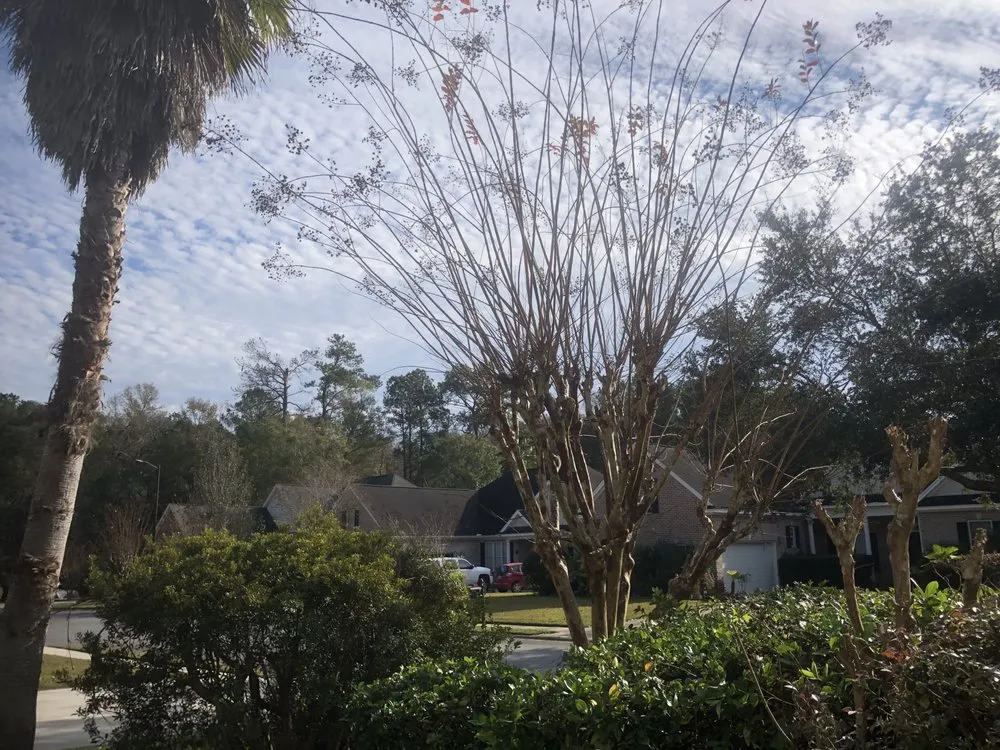 Reliable garden landscaping for outdoor upgrades in Glennville, GA by The Brothers Lawncare