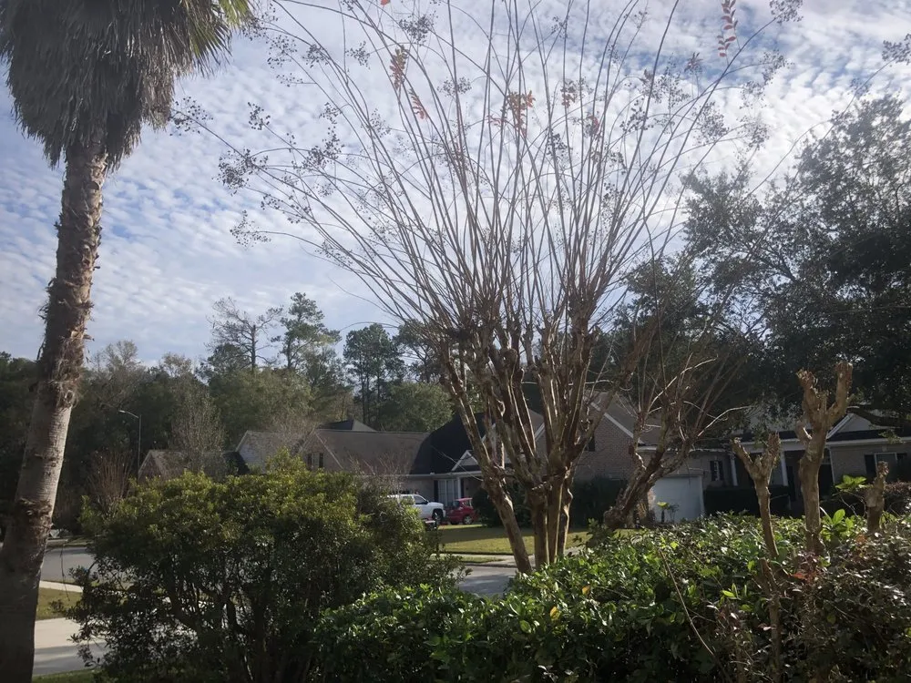 Professional lawn mowing service for residential properties in Glennville, GA by The Brothers Lawncare