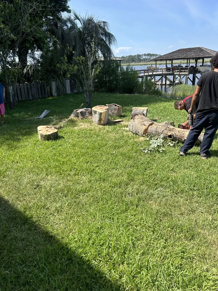 Reliable yard maintenance for year-round maintenance in Glennville, GA by The Brothers Lawncare